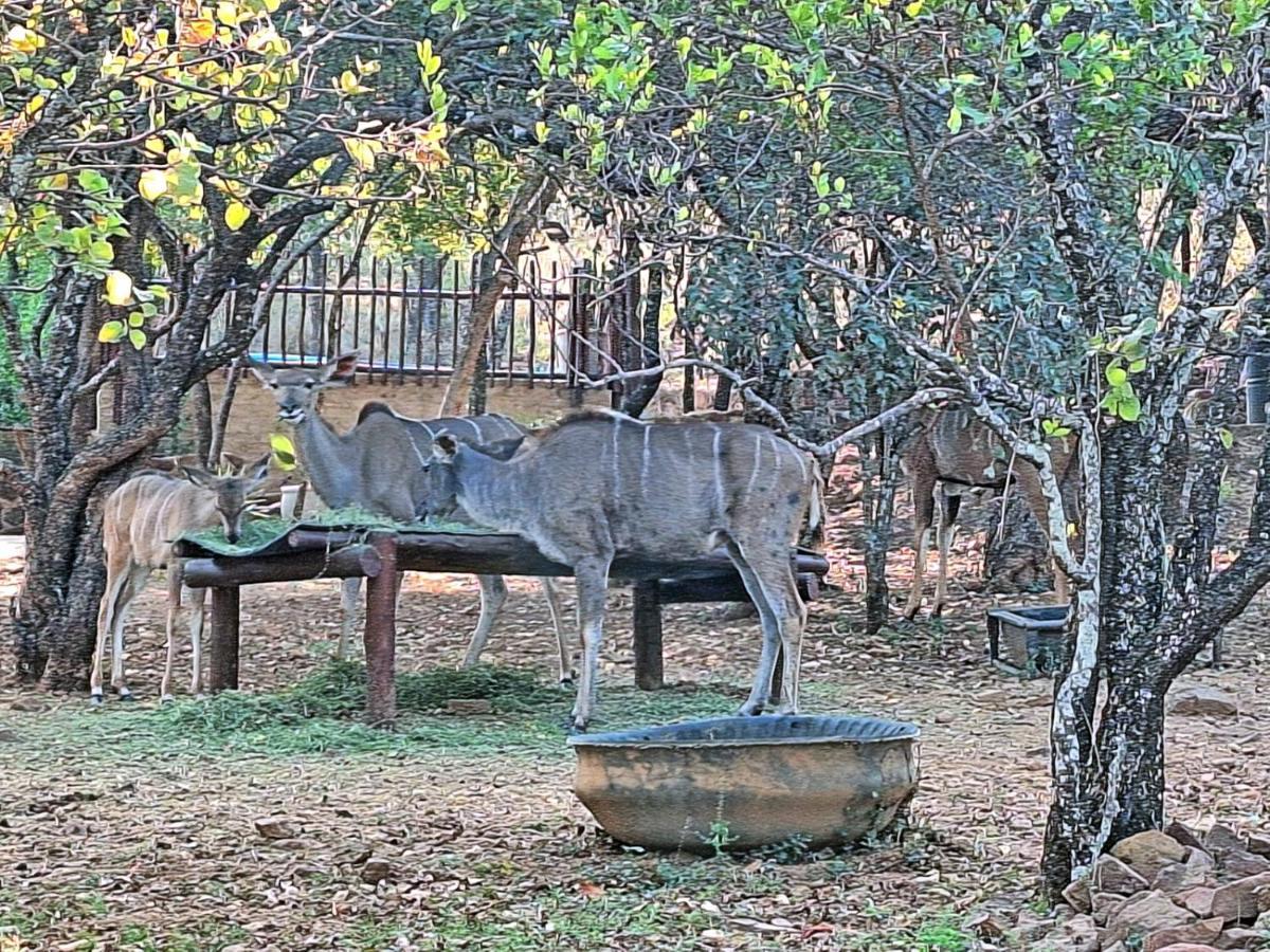 Loskop Serene Bush Cabin Winterkamp Екстер'єр фото